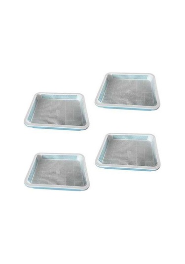 Trendooze 4 Adet Bahçe Filizleme Tepsisi Buğday Çimi Seti