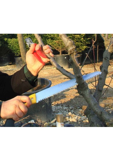 Bağ Bahçe Agaç Dal Keme Budama Bahçe Seti Testere Dal Makası Bağ