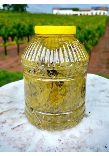 Ege'den Sultaniye Salamura Asma Yaprak Yeni Mahsul 5 Kh.bidon