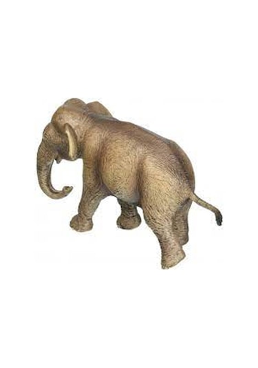 Schleich Dişi Asya Fili   14753