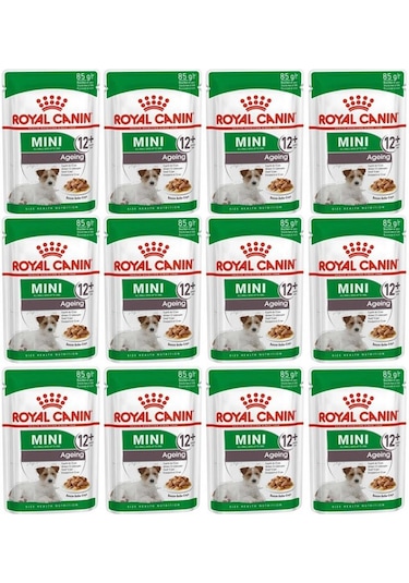 Royal Canin Mini Ageing +12 Yas Köpek Mamasi 12 x 85 G