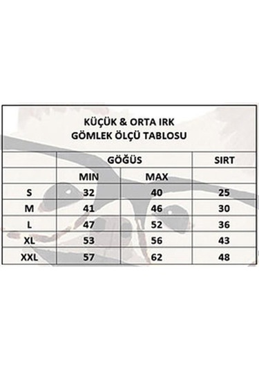 Miniş Drippy Santa Küçük Irk Köpek Yılbaşı Gömleği