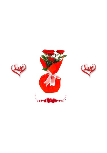 Kırmızı Mini Gül - Sevgililer Günü Ve Özel Gün Hediyesi