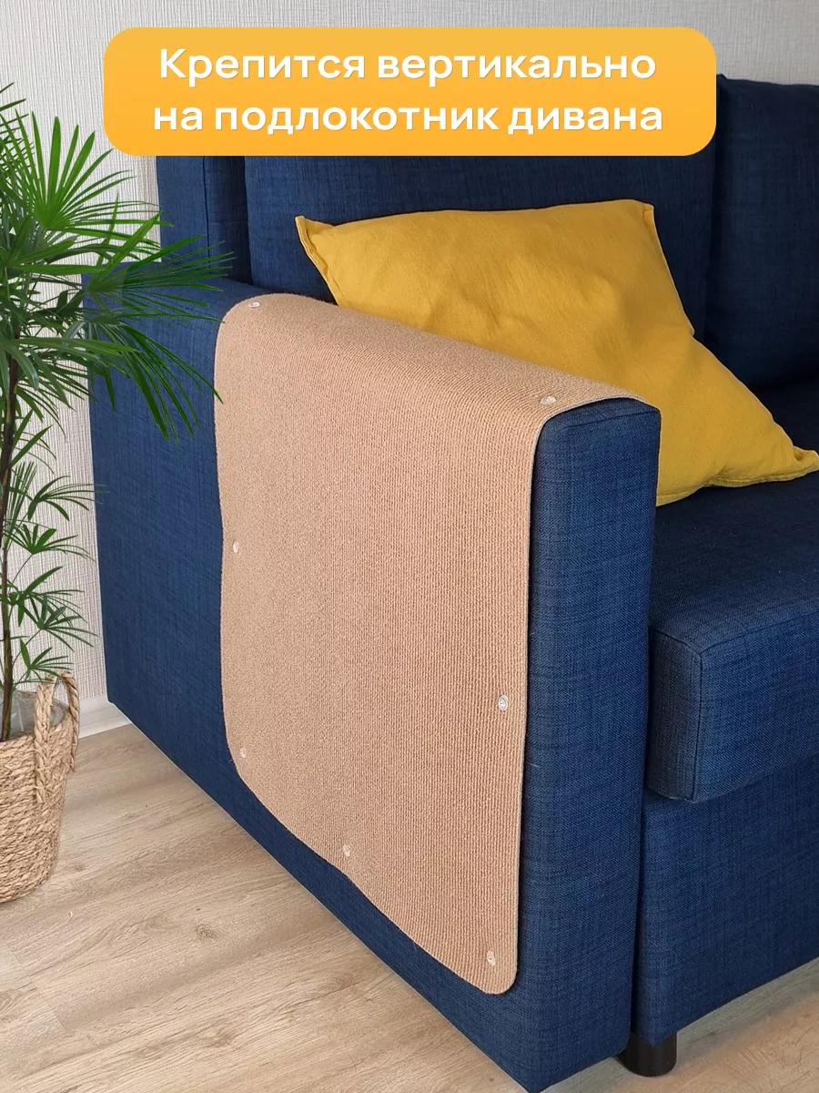 Aseliadia Kedi Kınağı - 80x50 Cm Kanepe Tipi 206357375