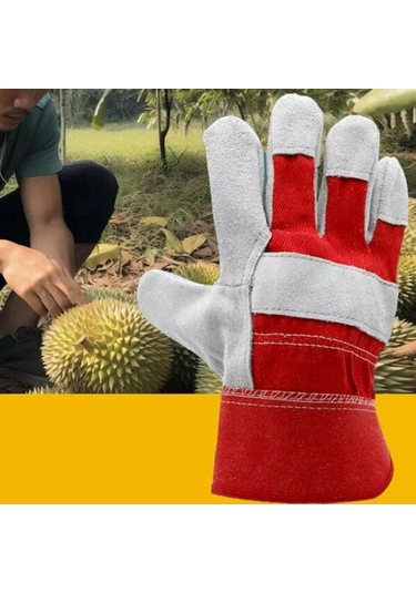 Trendooze Suntek Durian Eldivenleri, Kırmızı, Diken Dayanıklı Toplama Eldiven