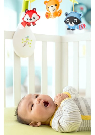 Fisher Price 3'ü 1 arada Baykuş Dönence CDM84