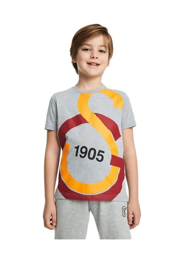 Galatasaray Büyük Logolu Çocuk Tee Gri T-shirt Gri