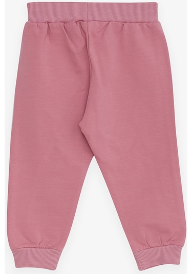 Breeze Kız Bebek Eşofman Altı Bebek Fil Baskılı 6 Ay-2 Yaş, Gülkurusu