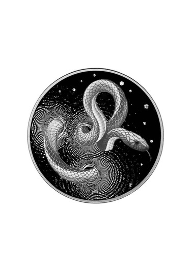 AgaKulche Yılan Gümüş Sikke Coin