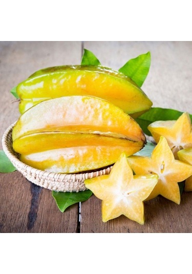 20 Lt Saksıda Meyve Verir Durumda Carambola Yıldız Meyvesi Fidanı