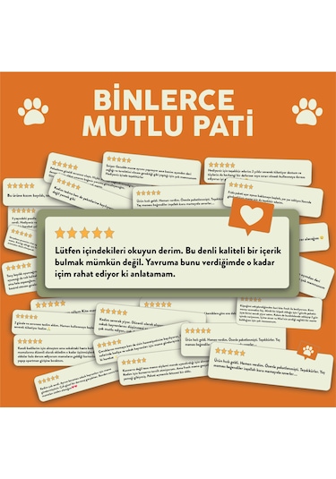 Kito Fresh Somon Etli Taze Yetişkin Köpek Yemeği 250 G
