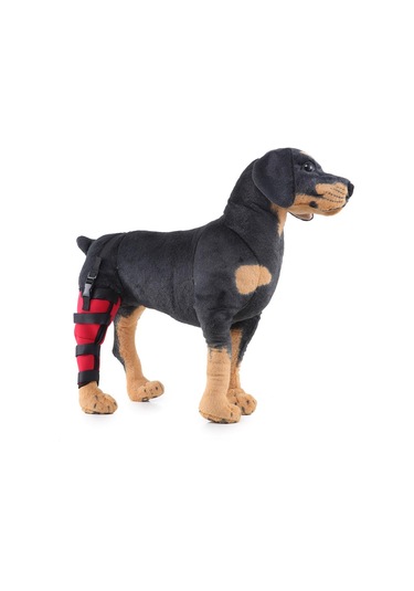 Homyl Köpek Yardımcı Kemer Sağ-arka-bacak-kırmızı-l