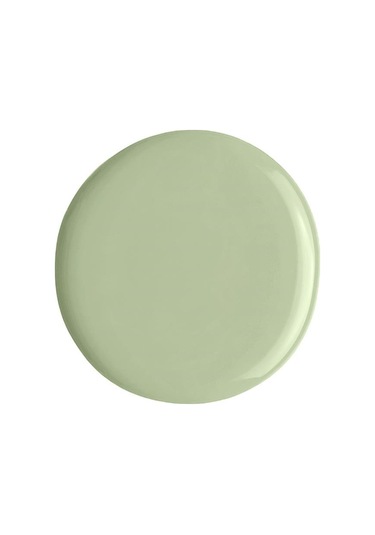 Alix Avien Mint Yeşil Oje 67 Yüksek Pigmentli Uzun Süreli Kalıcılık Hızlı Kuruma Nail Lacquer 67