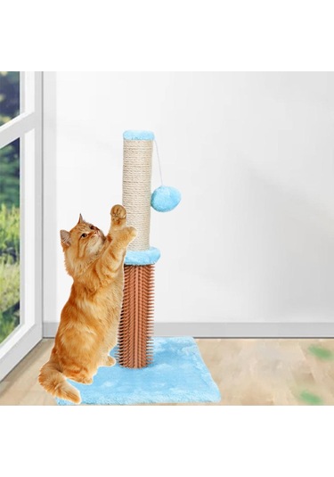 Suntek Kedi Tırmalama Direği Mobilya Yatağı Evcil Hayvan Mavi