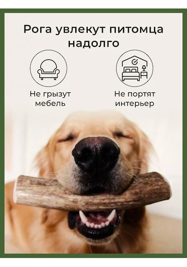 Howl Xl 280-320 Gr Geyik Boynuzları Oyuncağı 160280699