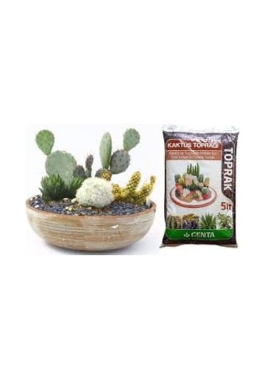 Genta Kaktüs ve Succulent Bitkileri için Toprak 5L