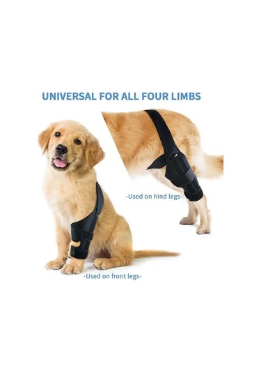 Homyl Köpek Bacak Desteği Esnek Destek Bandajları Malzemeleri