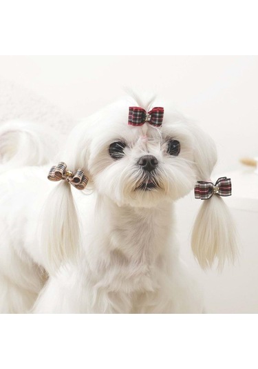 M-pets Glam Kareli Fiyonklu Kedi Ve Köpekler İçin Aksesuar Toka Kırmızı Mor