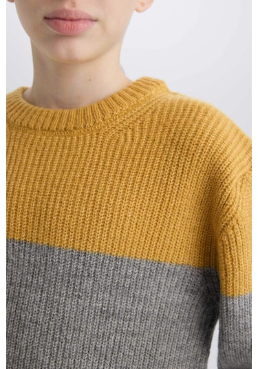 DeFacto Erkek Çocuk Bisiklet Yaka Renk Bloklu Triko Kazak C8111A824CWGR228