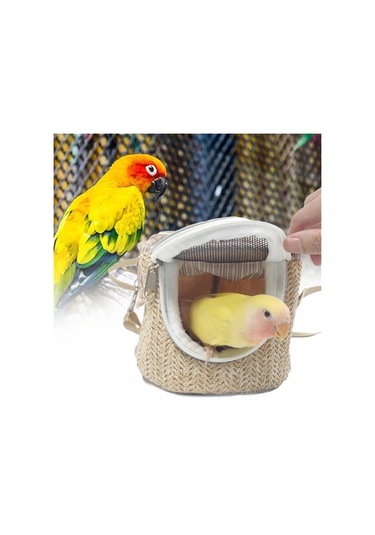 Honmex Küçük Evcil Hayvanlar İçin Hava Geçirgen, Sıcakklıklı Taşınabilir Çanta - Papağan, Hamster, Guinea Pig İçin Dışarı Çıkış Çantası Yeşil Gümüş