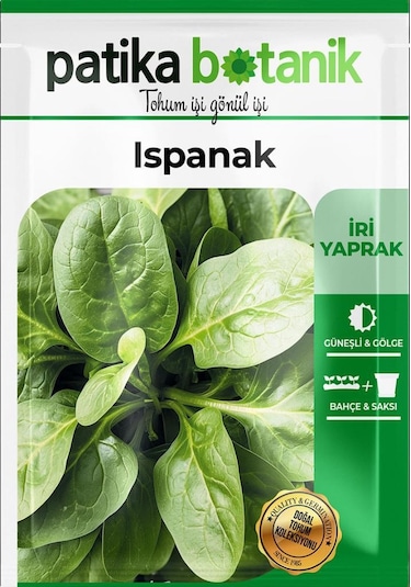 Yerli Ispanak Tohumu Gcl114