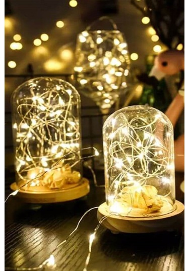 PERİ LED GÜN IŞIĞI ANİMASYONLU MİNİ PİLLİ 2 MT