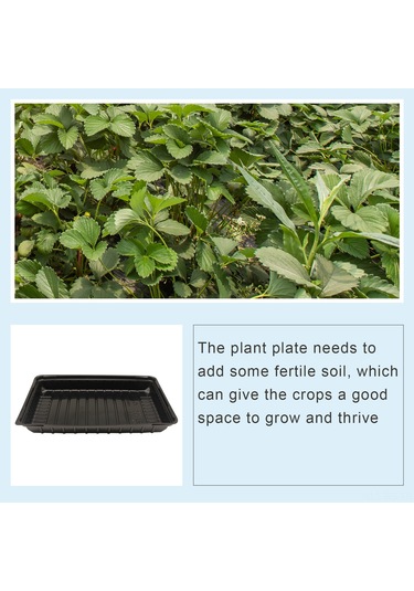 Reedark Büyük Boy Siyah Plastik Sebze Fidanlık Kabı - Nemli Bitki Yetiştirme Tabağı 5 Adet