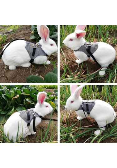 Lemestar Tavşan Kedi Küçük Köpek İçin Pamuklu Tasma, Sakal Giyimi, Boyut L Boyun 25-30cm, Gögüs 34-44cm