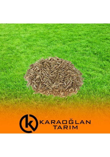 Çimlenen 7'li Karışım Basmaya Ve Soğuklara Dayanıklı Çim Tohumu