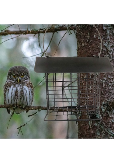 Yunboo Geniş Yemleme Açılıklı, Kuru Yem Saklama Korumalı, Taşınabilir Ve Temizlenebilir Retro Bakır Renkli Dış Mekan Kuş Yemleme Cihazı