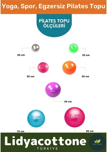 Mini Gymball 20cm Turuncu Pilates Topu Denge Egzersiz Şişirme Pompa Hediyeli