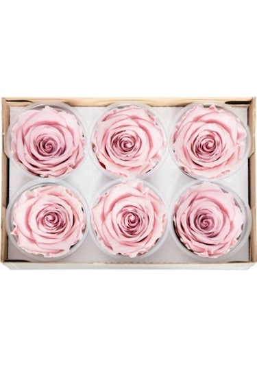 Rose Amor PİNK - 04 PEMBE şoklanmış solmaz gül XL
