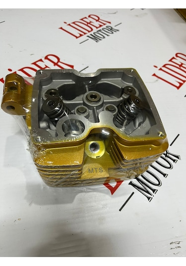 Cg-çita Mts Gold 200 Üstkapak Dolu