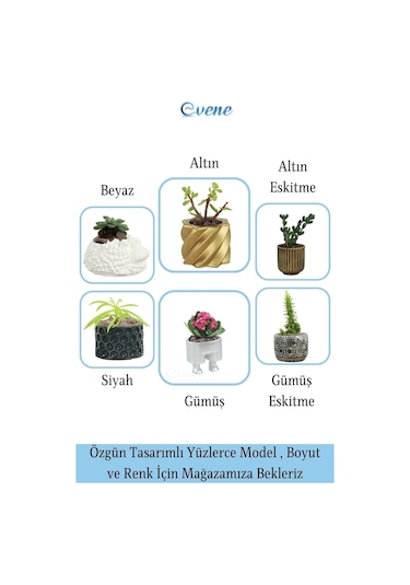 Kaktüs Saksısı Dekoratif Saksı Model 6 - Gümüş
