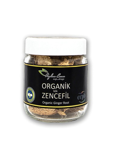 Ayhan Ercan Kök Organik Zencefil 60 G