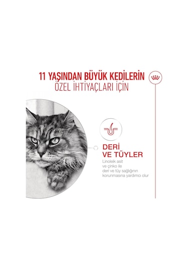 Royal Canin Senior  12+ Yaşlı Kedi Maması 2 KG