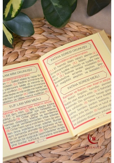 Yasin Tül Kese Termoderi Kaplı-arapça Türkçe Okunuşlu Ve Mealli Mevlid Ve Bebek Hediyeliği 5adet Mstd