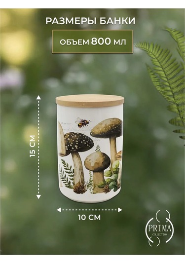 Prıma Collectıon 800 Ml Mantarlar Tarihi İçin Tahıl Kavanozu 385503598 Beyaz