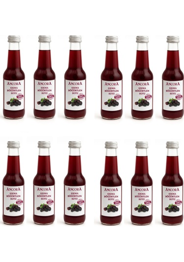 Ancora Sıkma Böğürtlen Suyu 250 Ml X 12 Adet