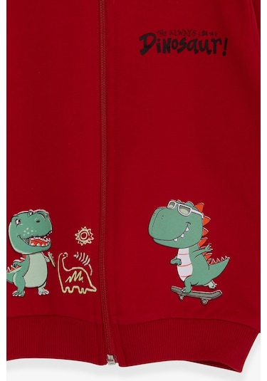 Breeze Erkek Çocuk Hırka Kaykaylı Dinozor Baskılı 1-4 Yaş, Kırmızı