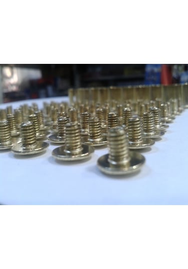 1.1 CM Dosya Klasör Menü Kartela Vidası Sarı 100 Adet