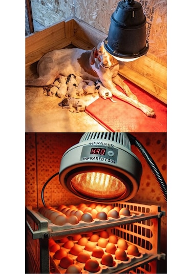 1 Adet Philips 250w Kızılötesi İnfrared Isıtıcılı Hayvan Isıtma Ve Fizik Tedavi Lambası Kırmızı Işık E27 Kalın Duy