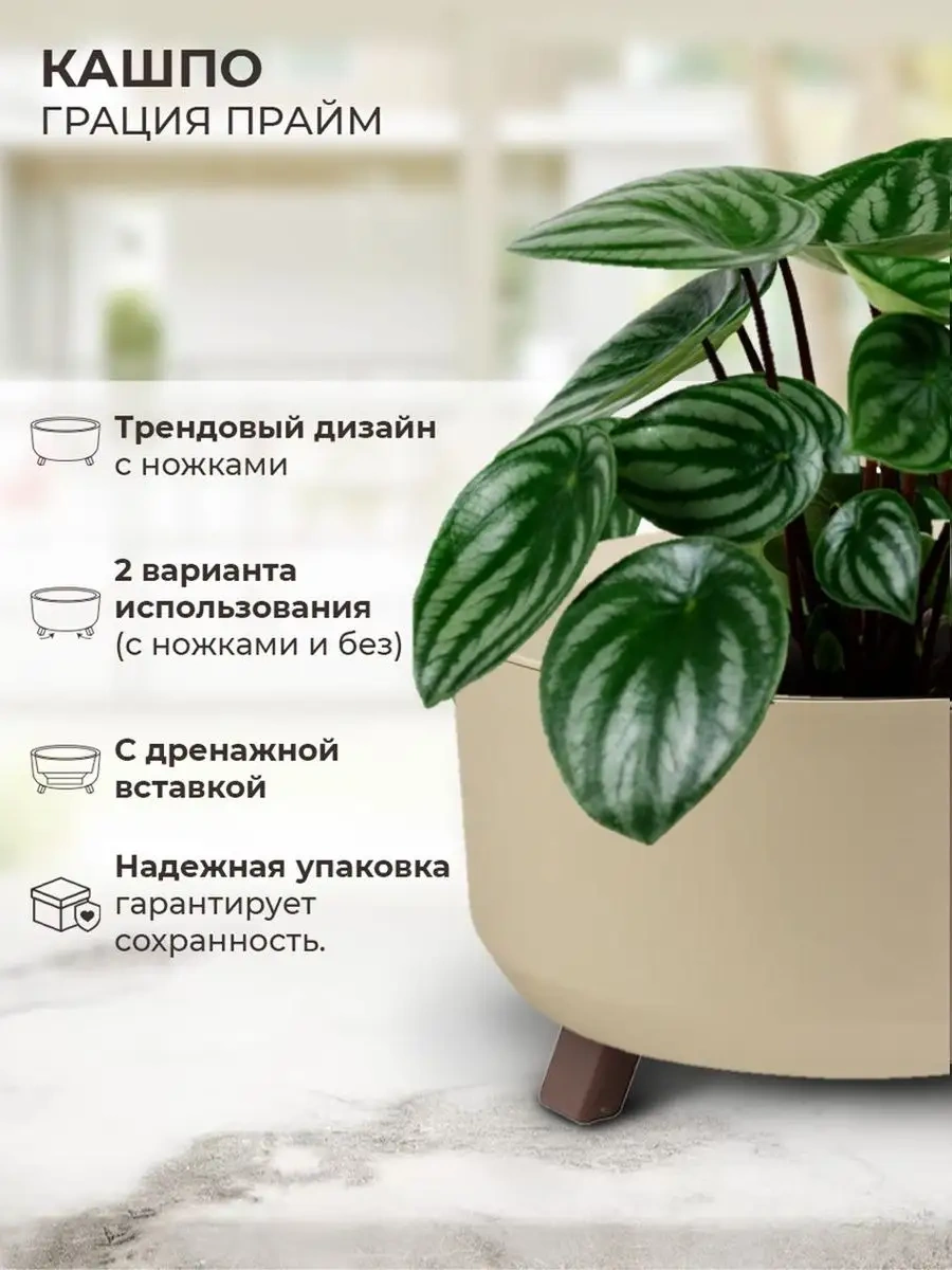 La Decoro Sukulent Saksıları, Ayaklı Saksılar, Kaktüs Saksıları 166658245