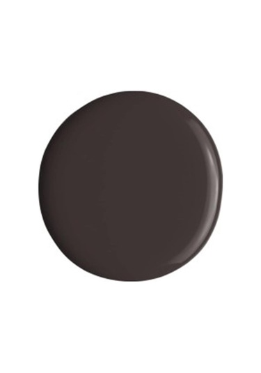 Alix Avien Kahverengi Oje 53 Yüksek Pigmentli Uzun Süreli Kalıcılık Hızlı Kuruma Nail Lacquer 53