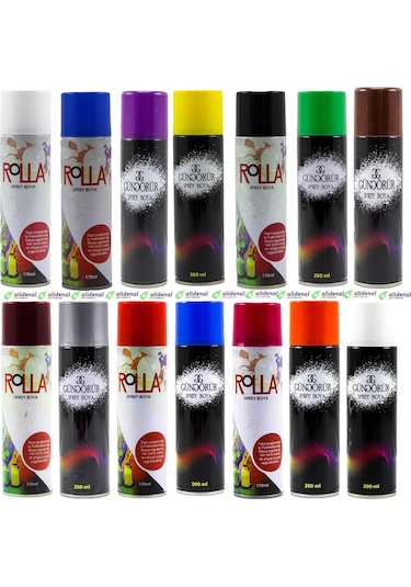 Rolla Sprey Boya 170 Ml