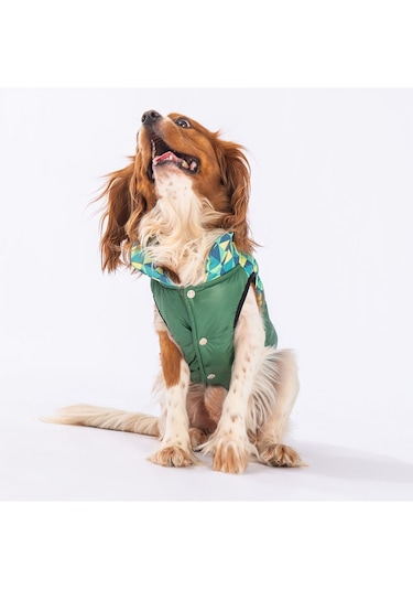 Pawstar Yeşil Diametro Puf Yelek Köpek Yeleği Köpek Yağmurluk