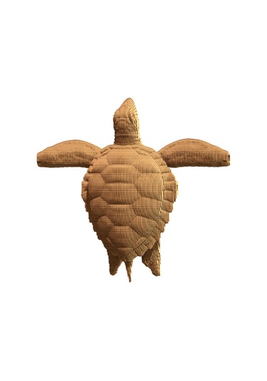 Cartonic 3d Puzzle - Turtle