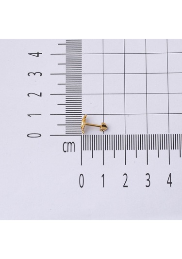 Bilezikci  14 Ayar Altın Yengeç Tragus Küpe Kphsy14k22508