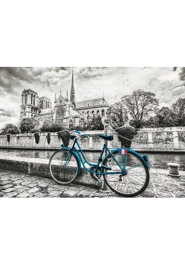 Educa 500 Parça Notre Dame Ve Yeşil Bisiklet Puzzle