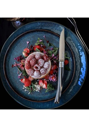 Opinel Chic 4'lü Et Bıçağı Seti - Lamine Huş Ağacı Laminated Birch Wood Çok Renkli